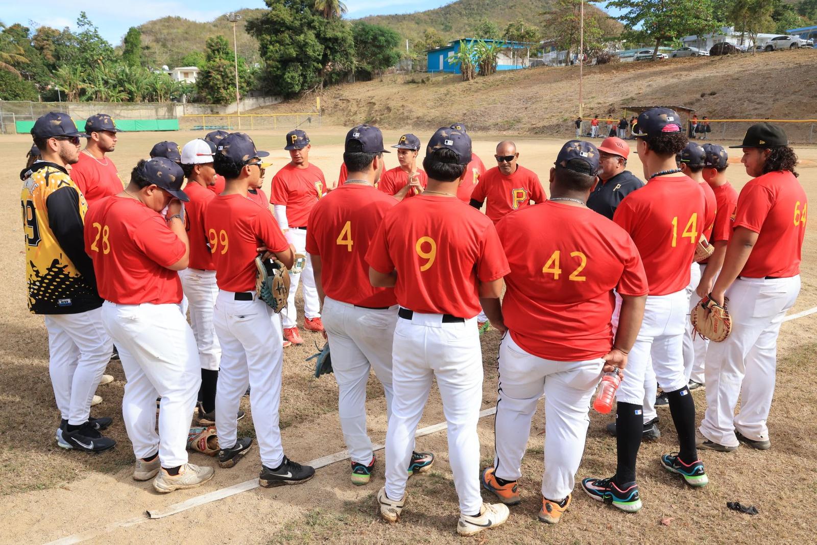 Amateur Baseball Team Huddle on Field