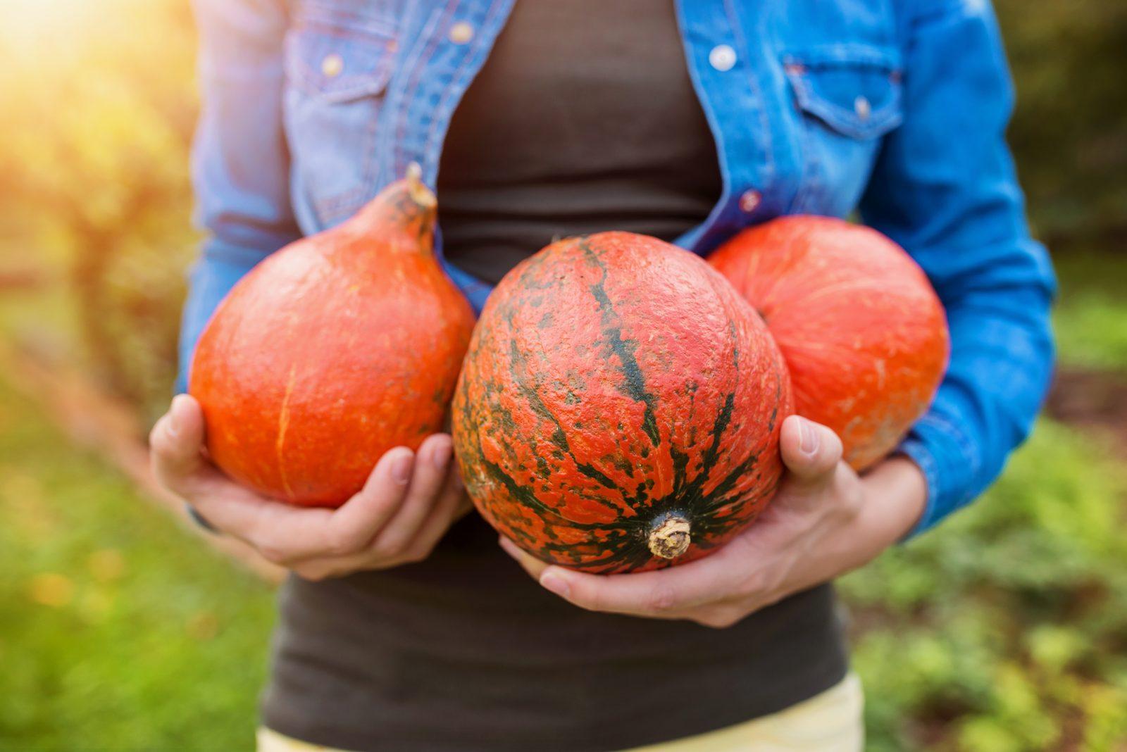 Greenwich's Summer Harvest: Five Local Produce Recipes Peak Season Now