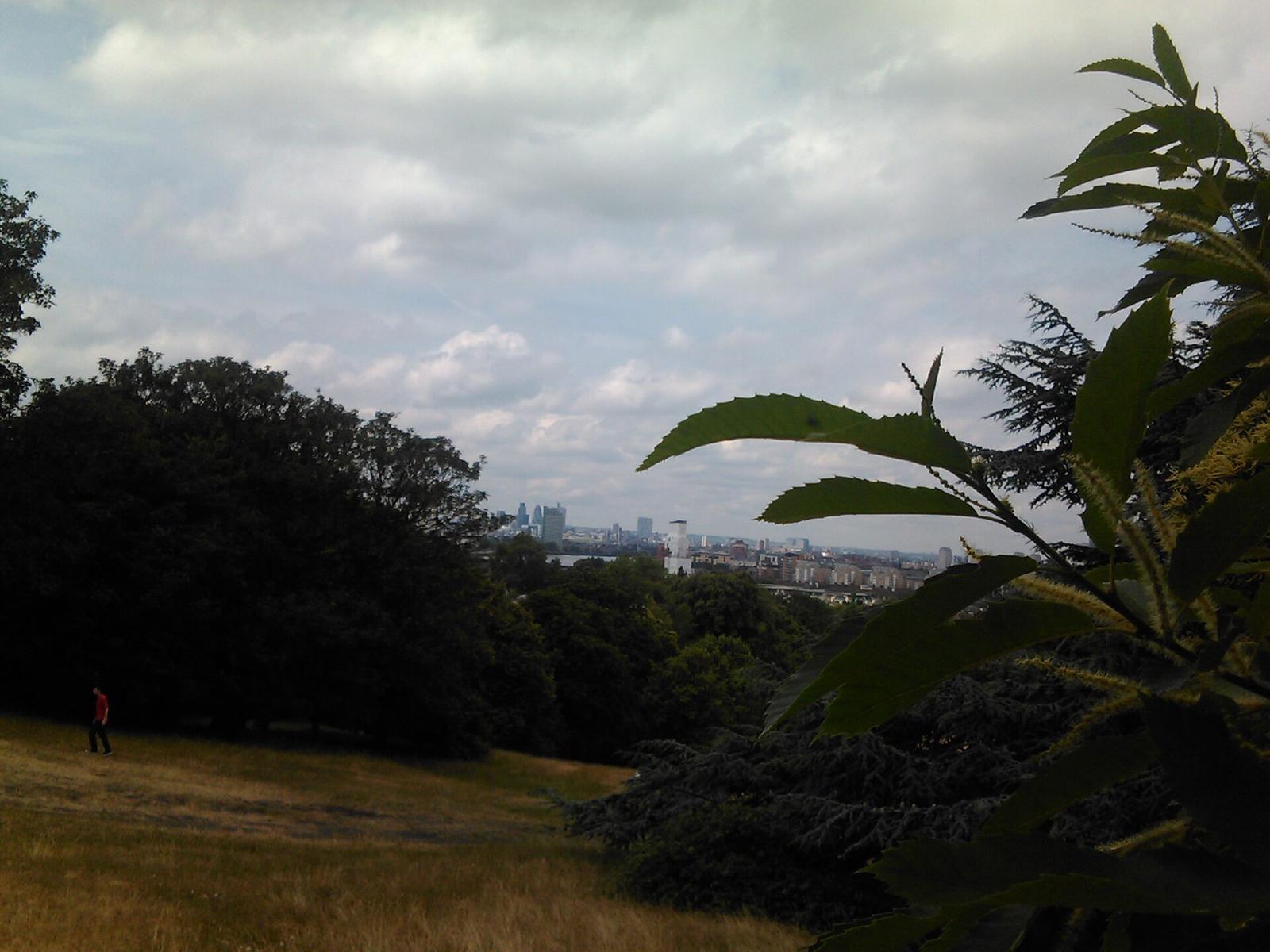 Greenwich Park geograph.org.uk 2341195